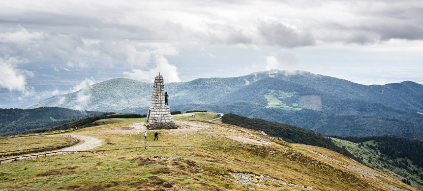 9.Vogézy_Blue-Devil