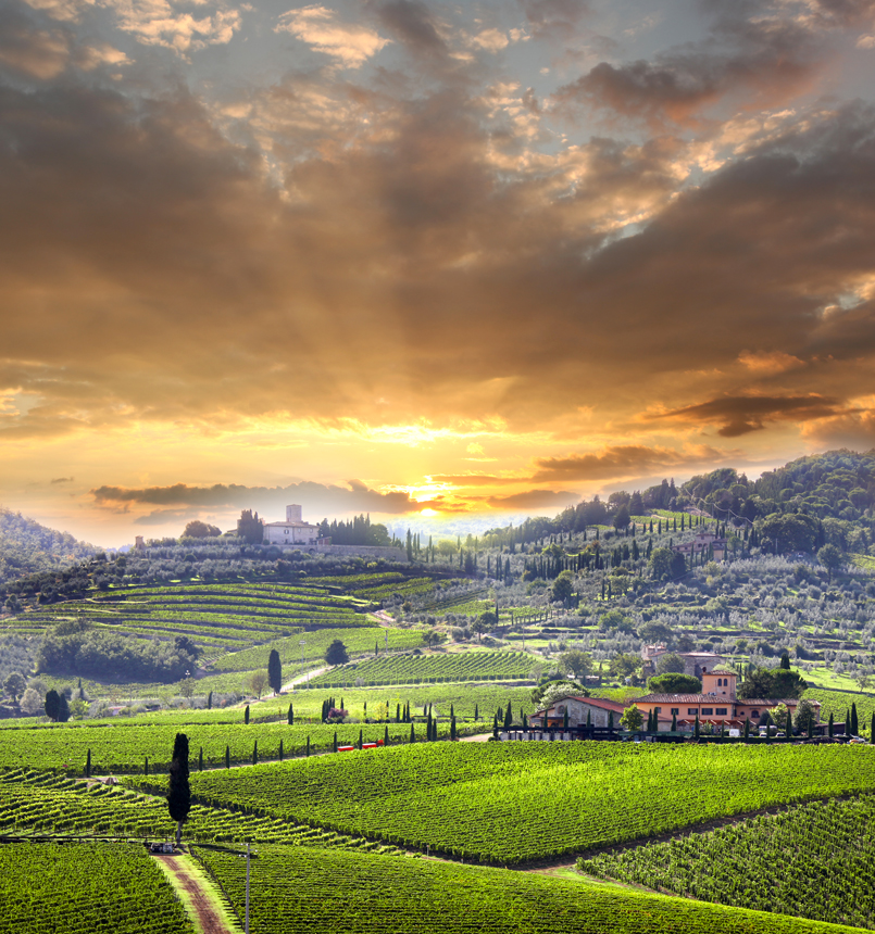2)-Chianti-vineyard-landscape-in-Tuscany,-Italy
